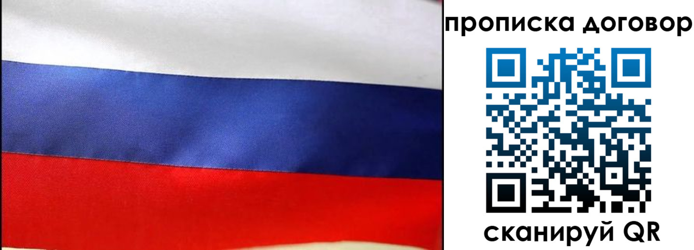 прописка гарантия в Торжоке